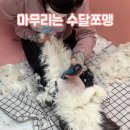 미용하냥 이미지