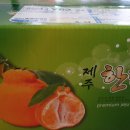 준이네 이미지