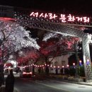 315 봄 이미지