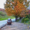 연천 통나무 펜션 | 경기도 연천 여행 가을느낌 물씬 나는 숙소 추천 : 허브빌리지 클럽플로라 펜션