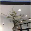 대구비즈니스센터 이미지