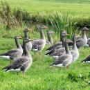 경사목장 이미지