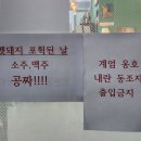 멧돼지 포획, 소맥 공짜 이벤트한 식당 이미지