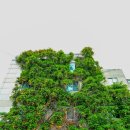 대봉1동행정복지센터 4층 이미지