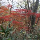 황지복권방 이미지