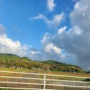 시모노세키 골프 Lake Swan CC 라운딩 추천!