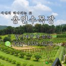 경안천로 258번길 이미지