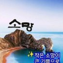 오늘 Daum카페