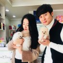 남지애견샵 네이버블로그
