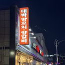 대박양꼬치 | 순천 신대지구 찐맛집 대박양꼬치양갈비 내돈내산 후기