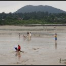 표선백사로 이미지