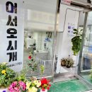 어서오시개 이미지