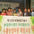 곡성-208 이미지