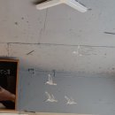 자양동 구의역 카공 카페 추천 - 두아트 서울 | 내돈내산 후기