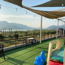 카페고니 이미지