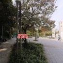 [급번개] 6월 23일(월요일) 오후 3시 - 이촌 국립중앙박물관~용산 가족공원 이미지