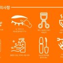 윙크속눈썹