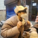 [2023년 1월 첫째 주] 수해복 마라탕, 화원루, 크로스핏, 수원역 매드포갈릭, 아바타2 3D, 익선동 한옥...