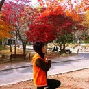 팔공산힐링 이미지