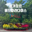 파라다이스 | 싱가포르 여행 추천 : 버드파라다이스 후기 (공연시간, 팁)