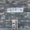 포레스테리어 이미지