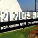 임진강모터스 네이버블로그