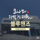 서호점현대자동차 이미지