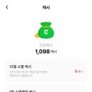 보카도 이미지