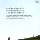 모두가자연이네
