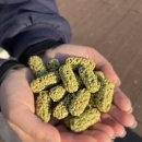 대치리 | 갑산이 정복완료! 칠갑산 등산..이라 하고 산책하는 최단코스(+모든 등산코스 정보&amp;거리 모음)