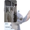 삼돈메디칼 | 일상 : /“&amp;@♢=♪#%〒*+