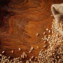 시크릿푸드 이미지