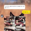 네오펫동물메디컬센터 이미지