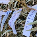 고락산 산신제 이미지