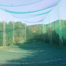 공원골프클럽 이미지