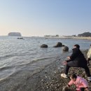 학성별장횟집 이미지