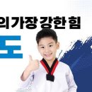 캡틴태권도 이미지