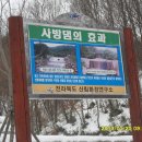 자연(애)장수