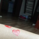 돌고래 그리기 이미지