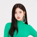 시현 이미지