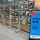 고운고등학교 이미지