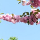 개화전기충전소 이미지