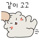 김밥파는사람들(영진전문대점) 이미지