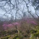 삼향천5 이미지