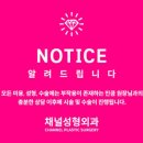 야긴레이저
