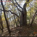 대안마을 이미지