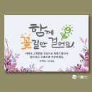 밝은실사 이미지