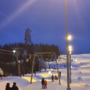 해피브런치 이미지