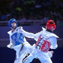 태백강원태권도체육관 이미지