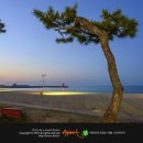 월산본가 이미지